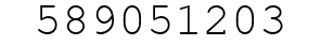 Number 589051203.