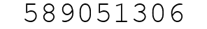 Number 589051306.