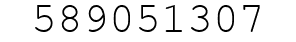 Number 589051307.
