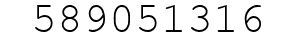 Number 589051316.