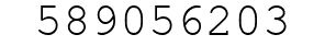 Number 589056203.