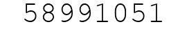 Number 58991051.