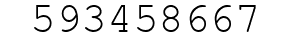 Number 593458667.