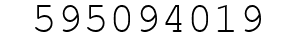 Number 595094019.