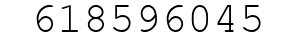 Number 618596045.