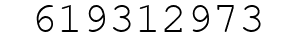 Number 619312973.