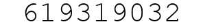 Number 619319032.