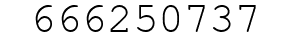 Number 666250737.
