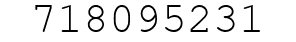 Number 718095231.