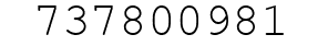 Number 737800981.