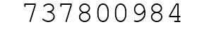 Number 737800984.