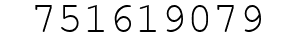 Number 751619079.