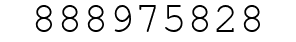 Number 888975828.
