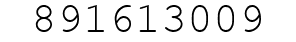 Number 891613009.