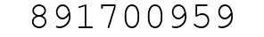 Number 891700959.