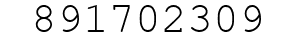 Number 891702309.