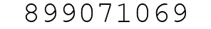 Number 899071069.