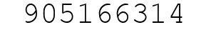 Number 905166314.