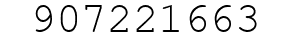 Number 907221663.