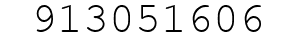 Number 913051606.
