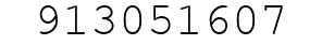 Number 913051607.