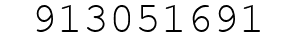 Number 913051691.