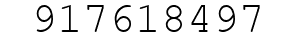 Number 917618497.