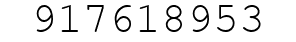 Number 917618953.