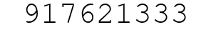 Number 917621333.