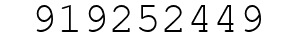 Number 919252449.