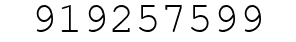 Number 919257599.