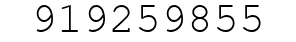 Number 919259855.