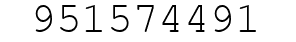 Number 951574491.