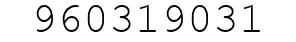 Number 960319031.