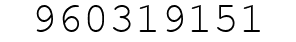 Number 960319151.