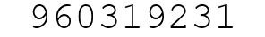 Number 960319231.
