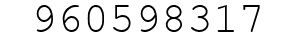 Number 960598317.