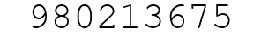 Number 980213675.