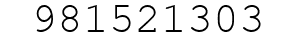 Number 981521303.