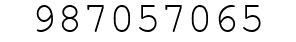 Number 987057065.