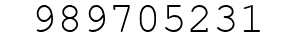 Number 989705231.